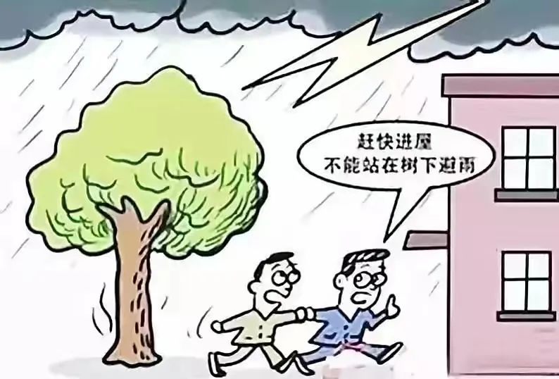 东川发布(微信)