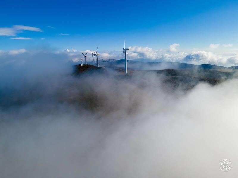云南省文化和旅游厅