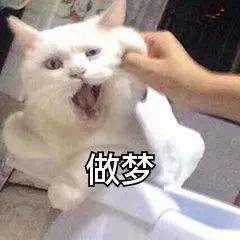 云南法制报