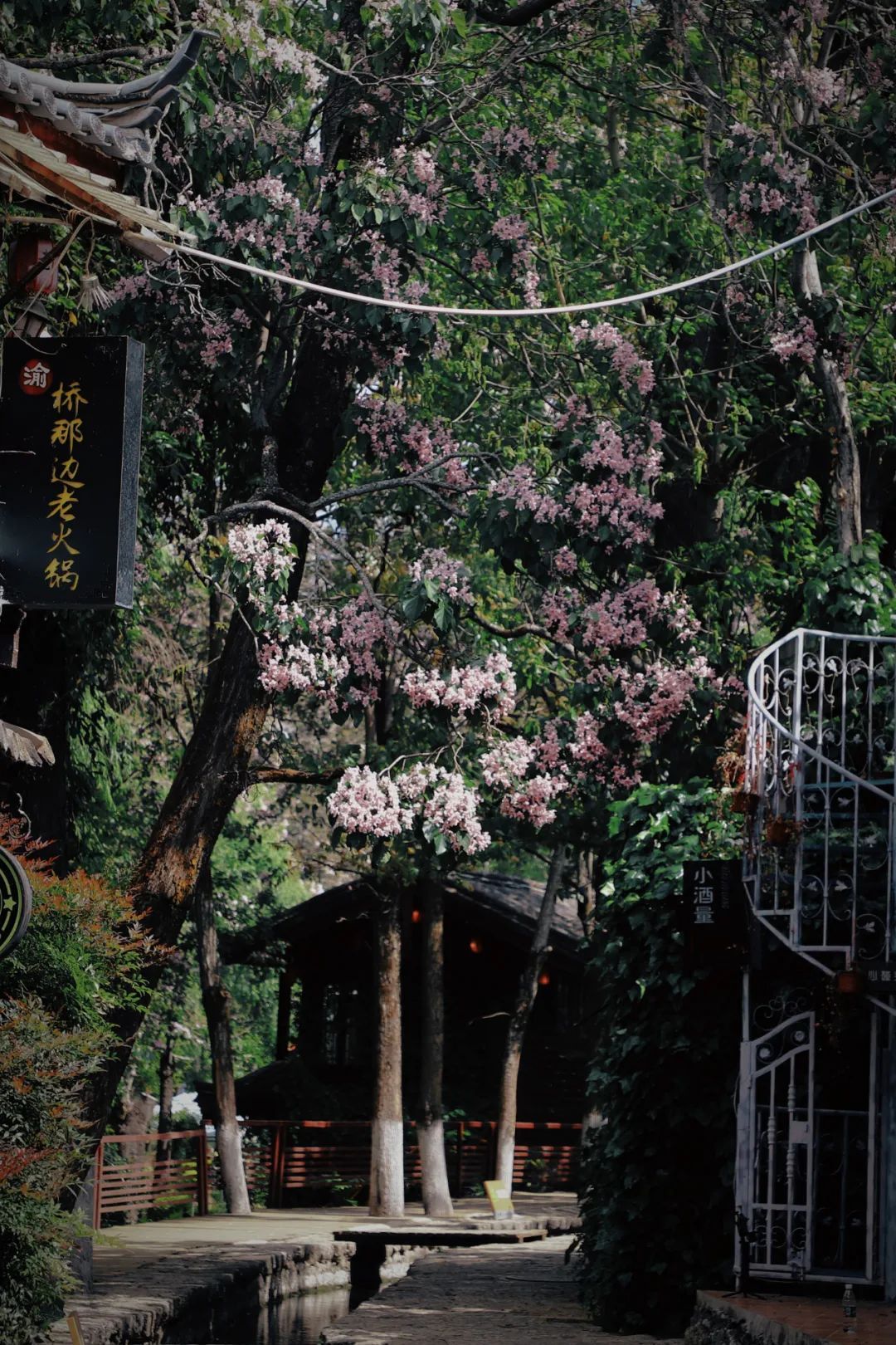 云南省文化和旅游厅