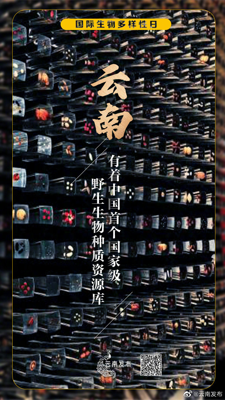 “云南发布”微博