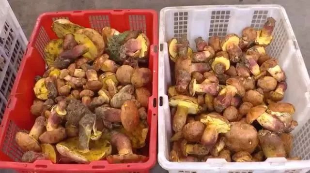 玉溪发布