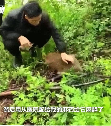 掌上春城微信公众号