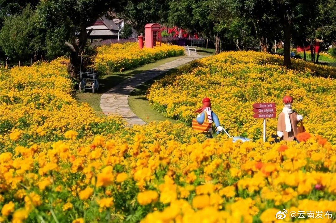 “云南发布”微博