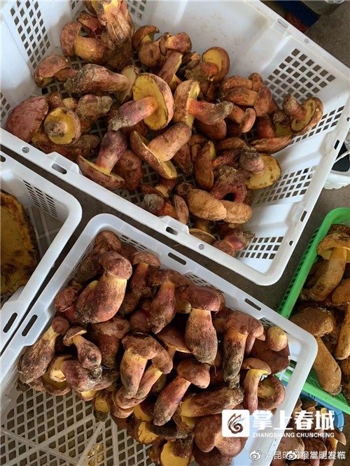 嵩明发布