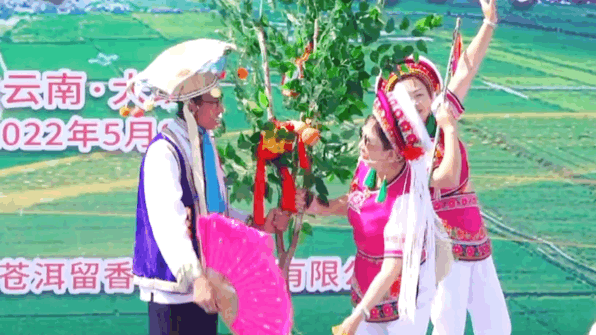 大理电视台