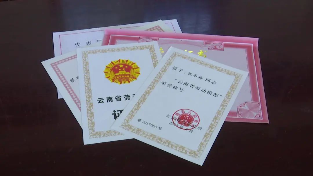 大理电视台