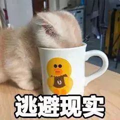 大理电视台