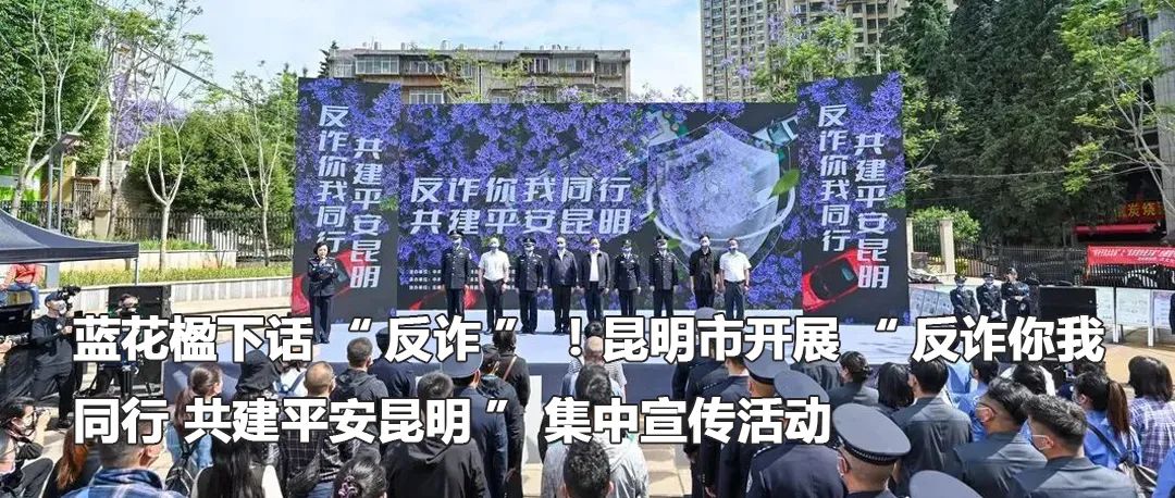 云南政法
