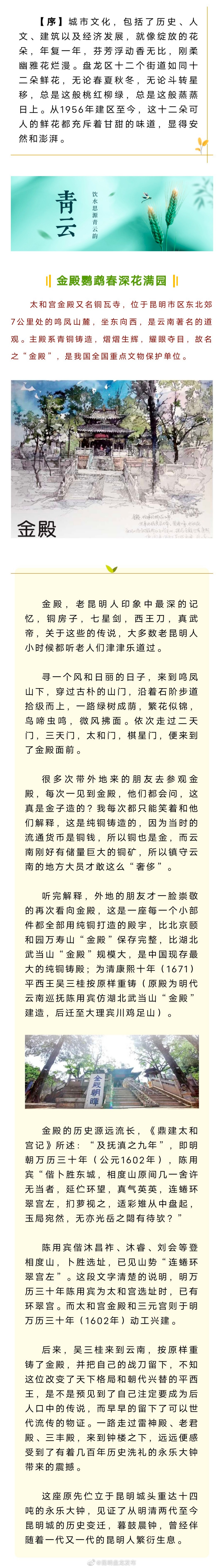 芳华正茂 盘龙如歌 | 金殿鹦鹉春深花满园