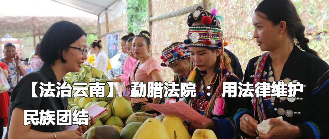 云南政法