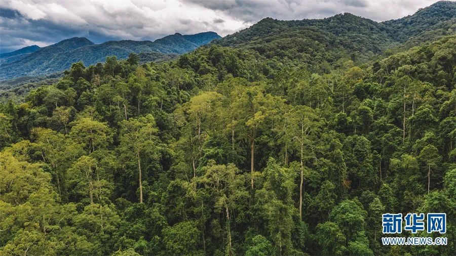 昆明信息港/cnkmxxg