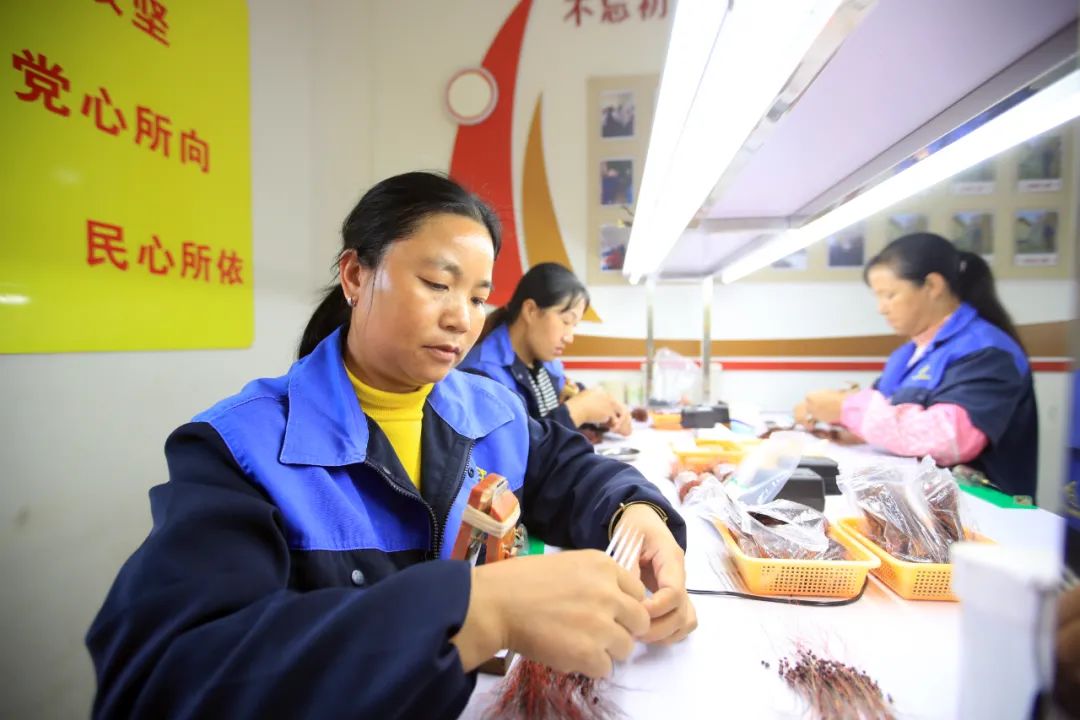 云南省人民政府网