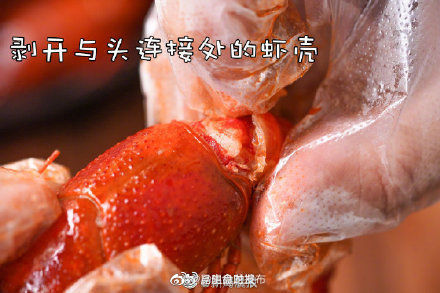 昆明盘龙发布