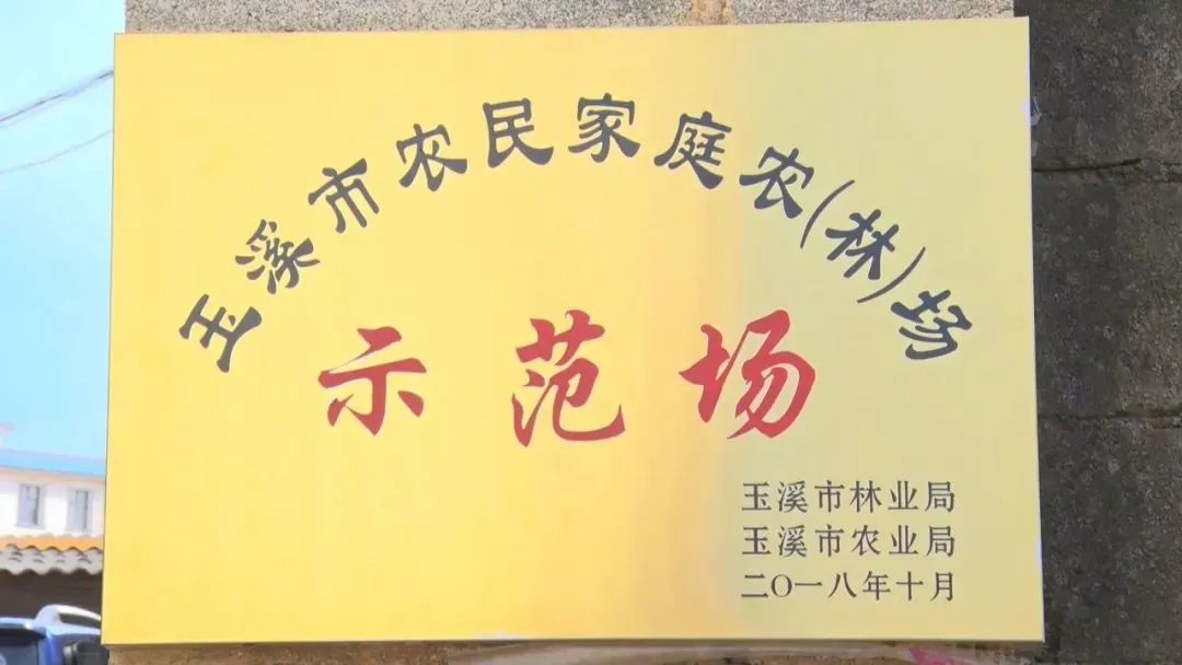 玉溪发布