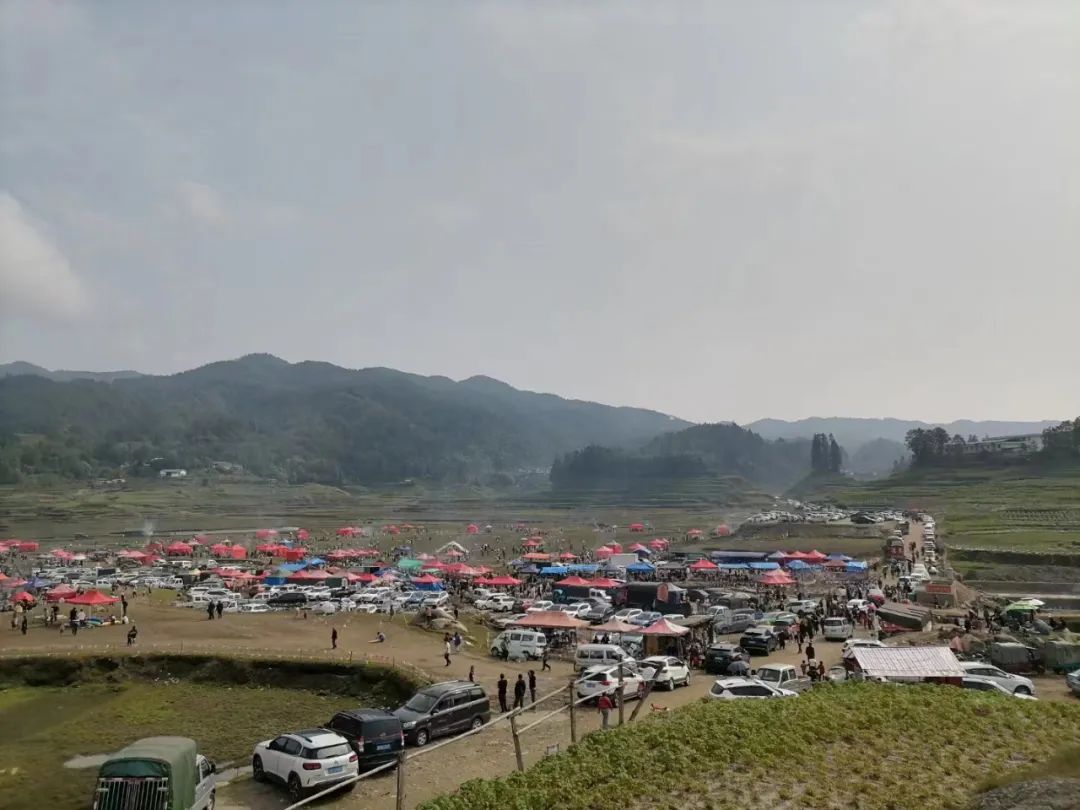 保山新闻网