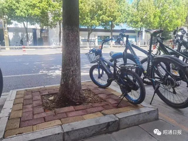 昭通日报