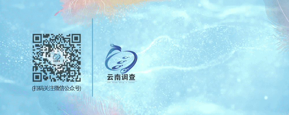宜良统计(微信)