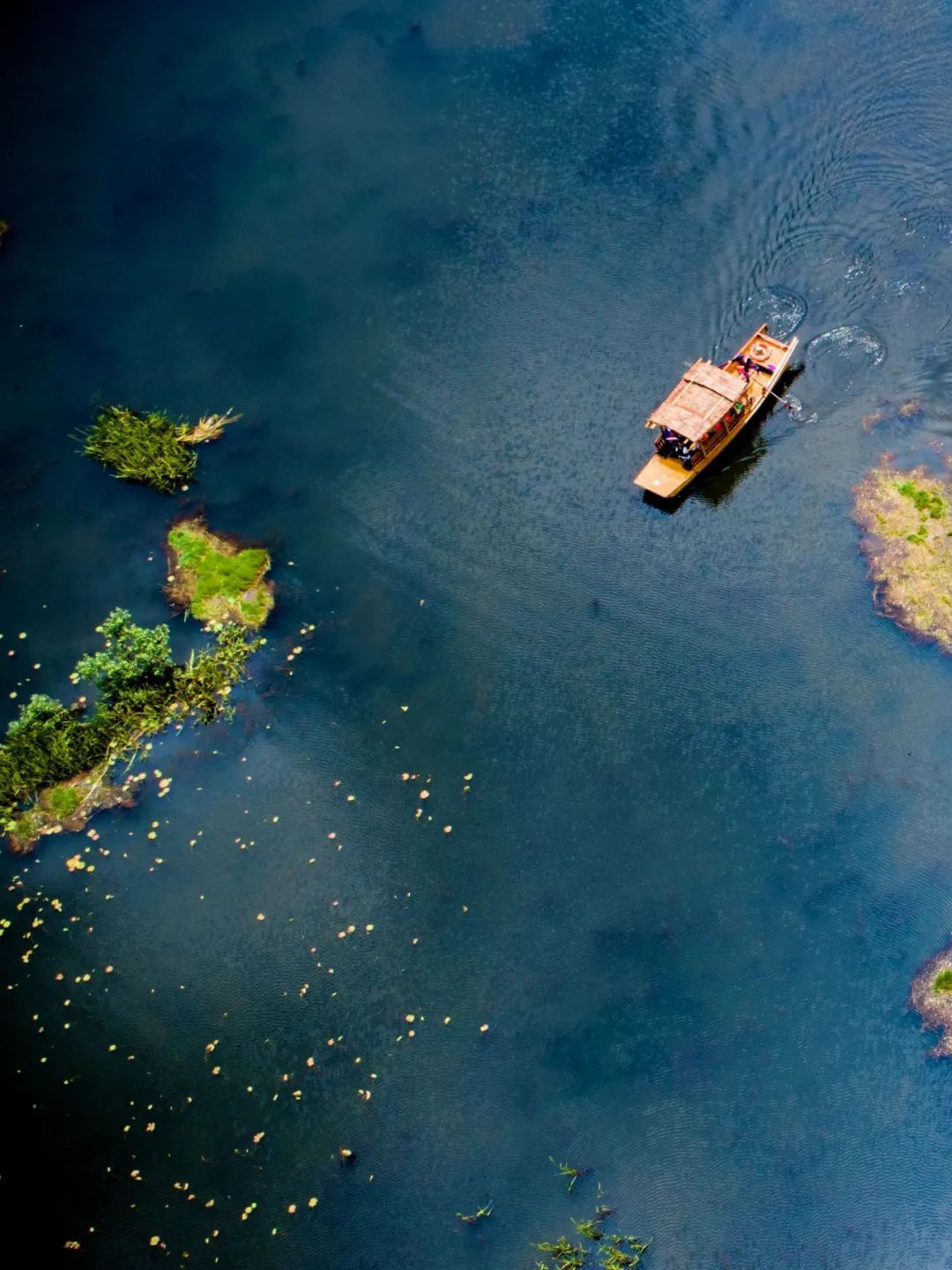 昆明信息港/cnkmxxg