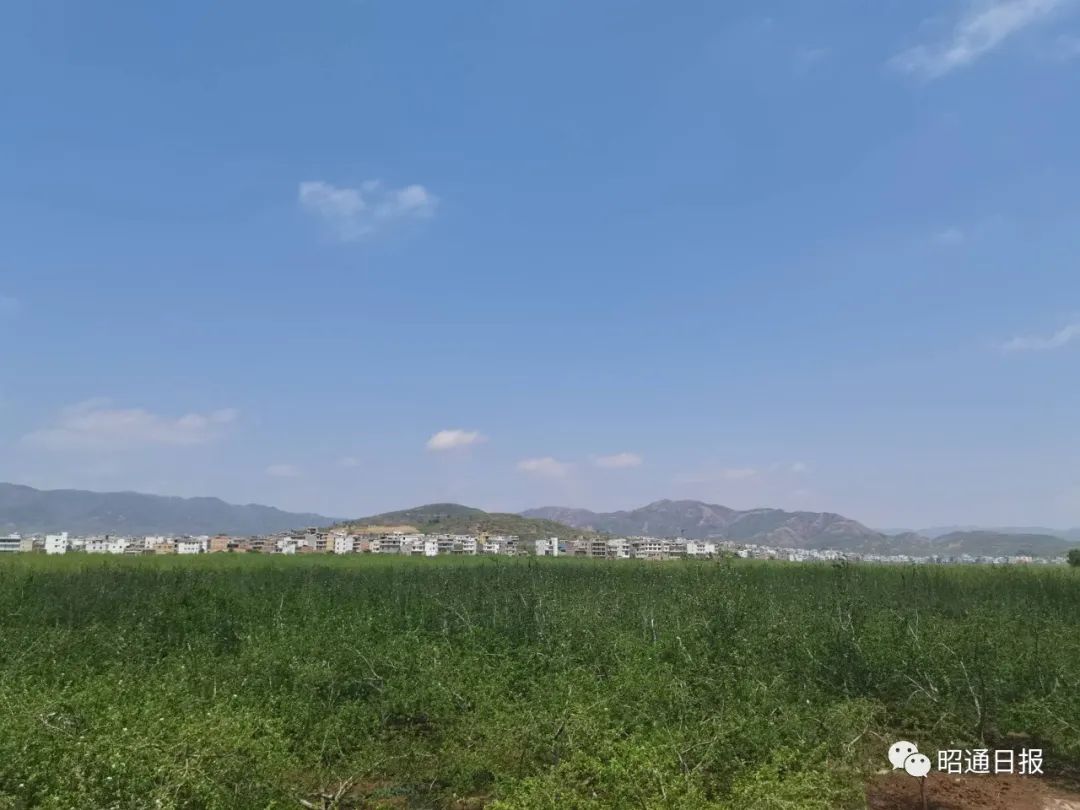 昭通日报