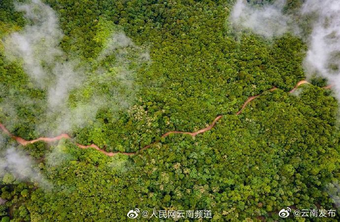 “云南发布”微博