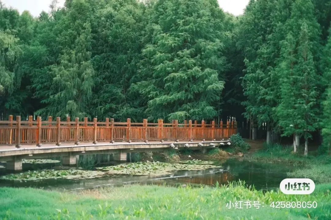 昆明滇池国家旅游度假区管理委员会(微信)