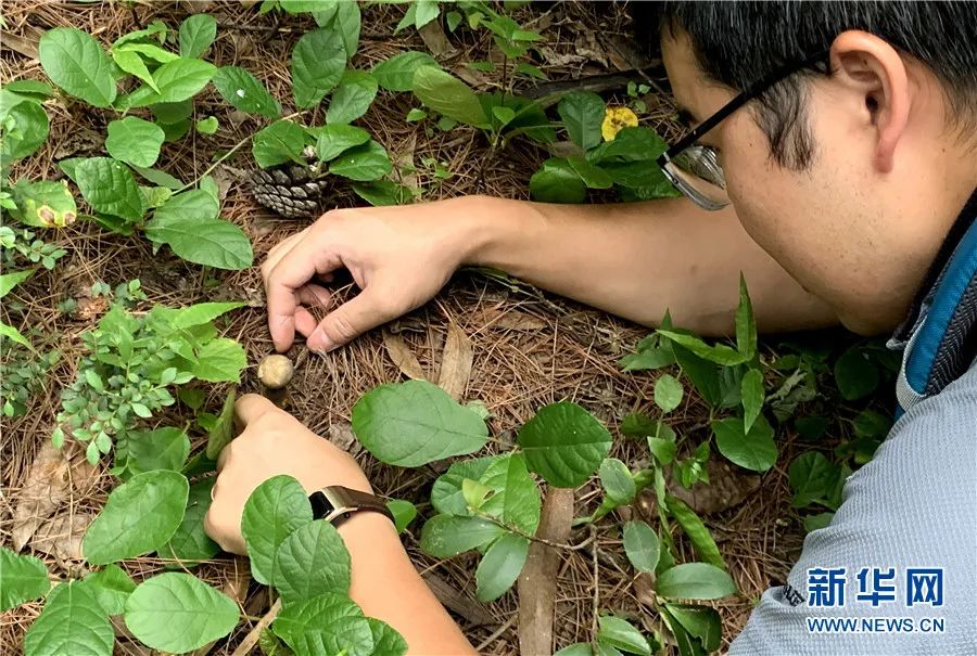 美丽云南微科普