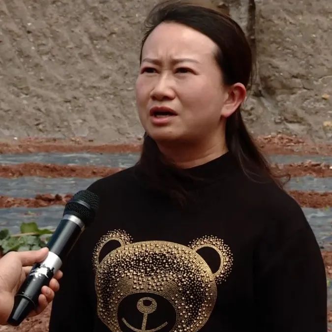 大理电视台