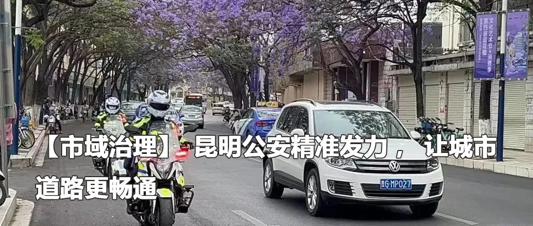 云南政法