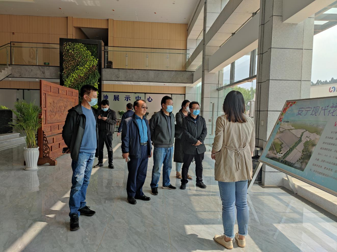 嵩明招商(微信)