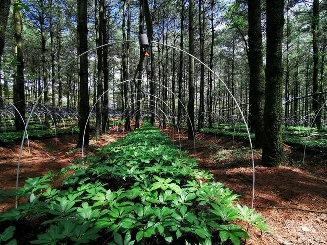 昆明市农业农村局