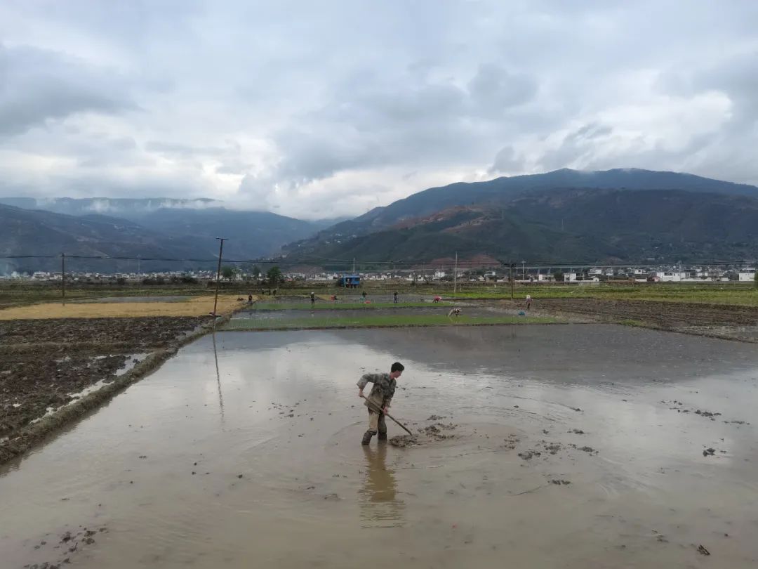 丽江日报