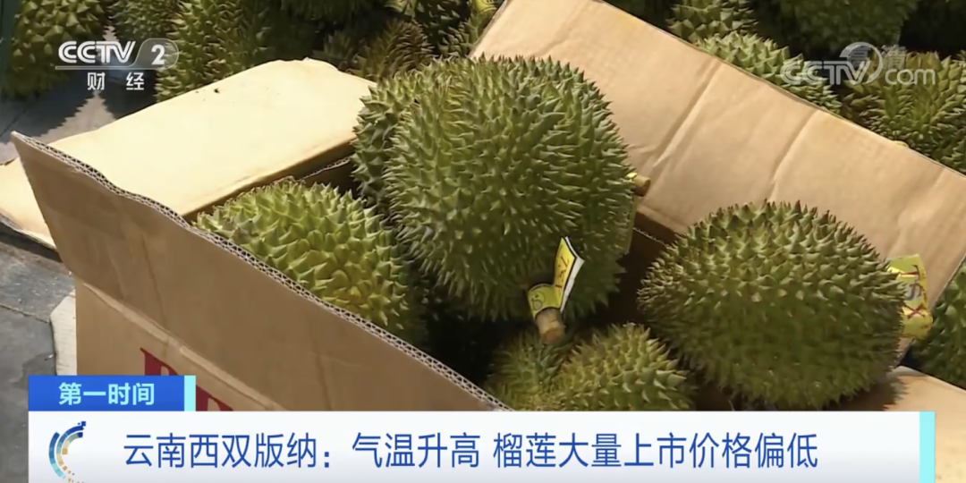 昆明信息港/cnkmxxg