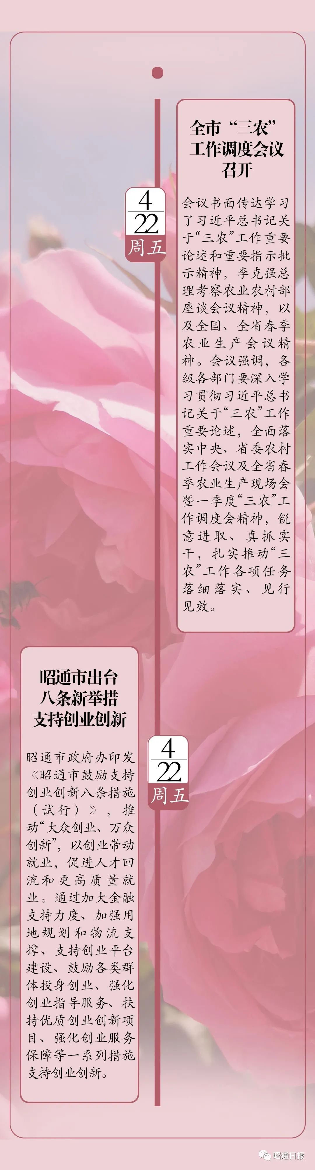 昭通日报