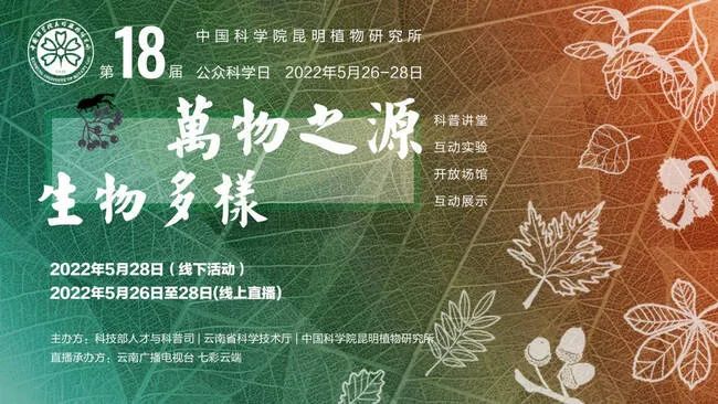 云南省人民政府网