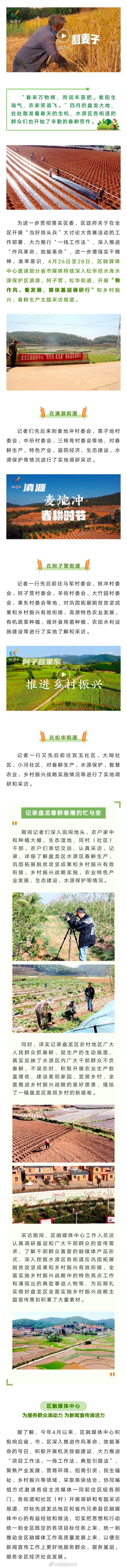 不负农时不负春，盘龙春耕图景“农”墨“种”彩！