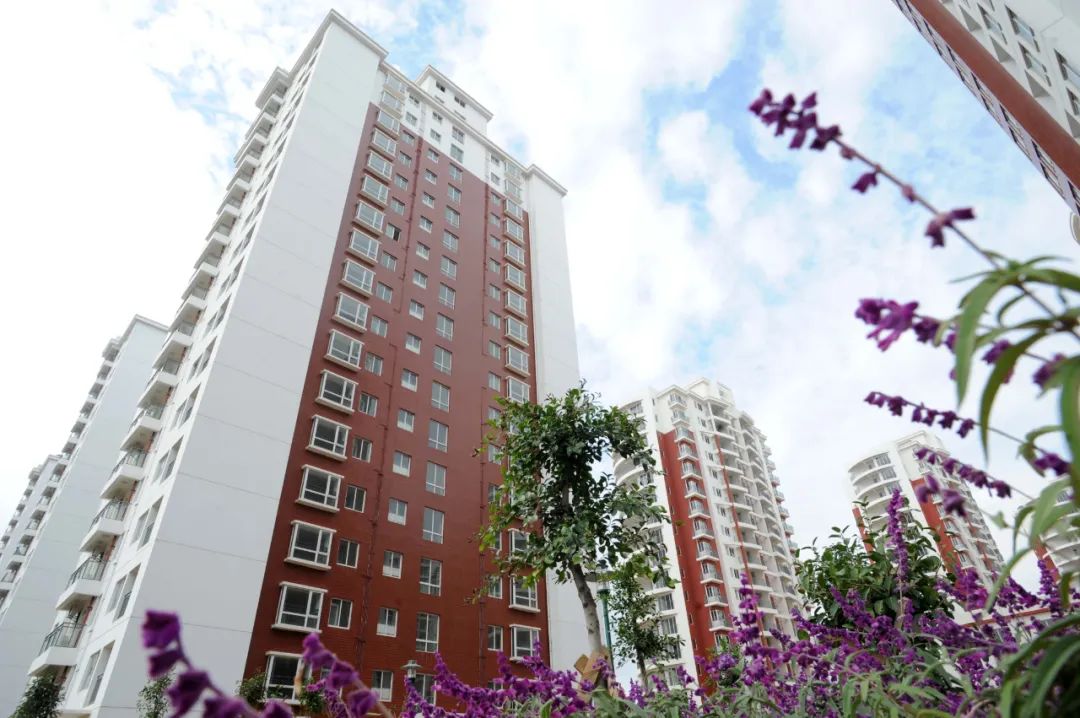 昆明信息港/cnkmxxg