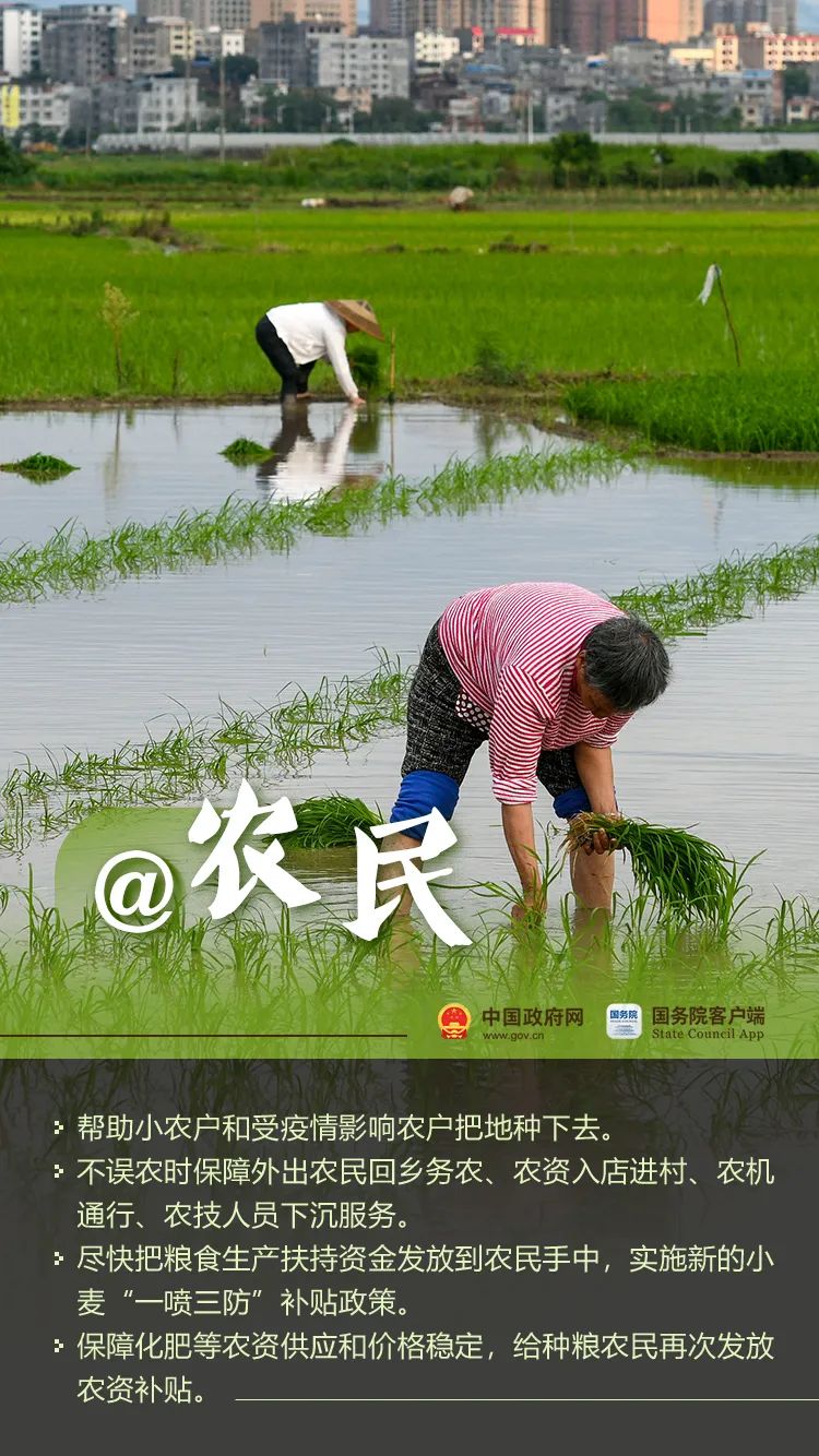 西双版纳先锋