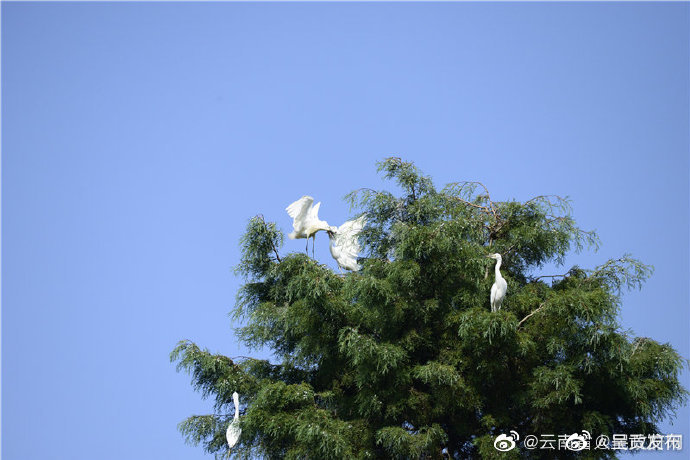 呈贡发布