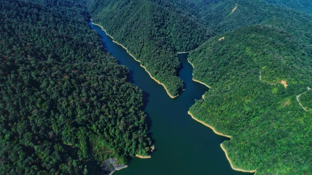 云南省人民政府网