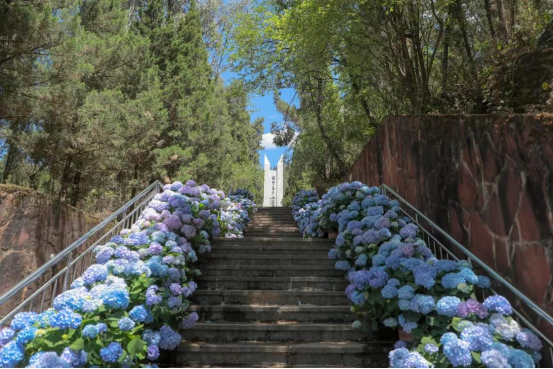 昆明文旅