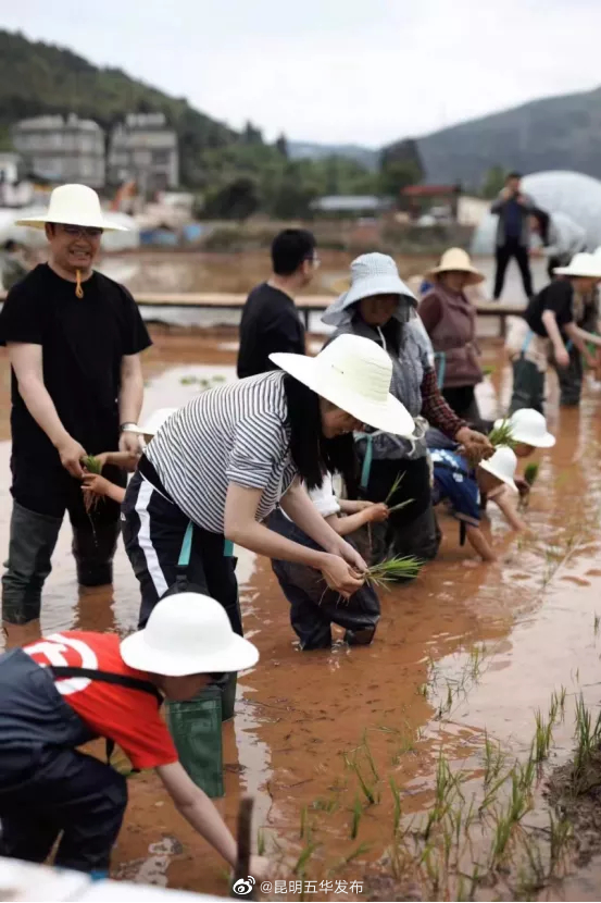 “昆明五华发布”微博