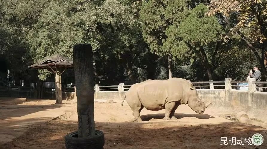 昆明动物园