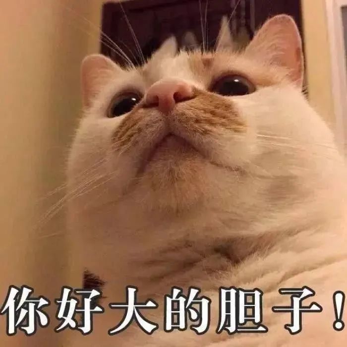 保山新闻网