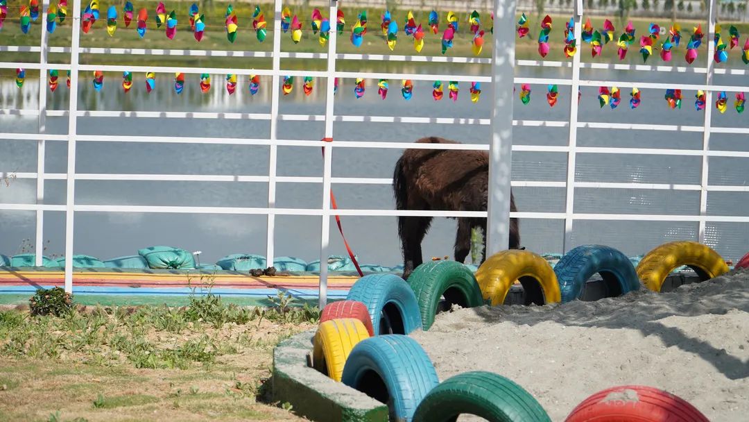 保山广播电视台