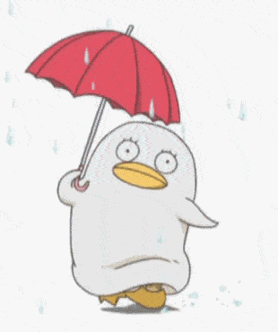 东川发布(微信)