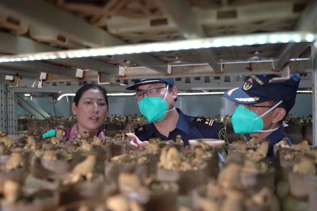 云南省人民政府网