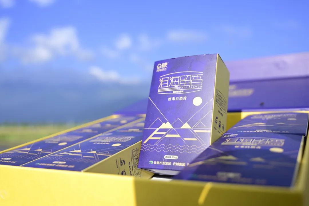 大理电视台