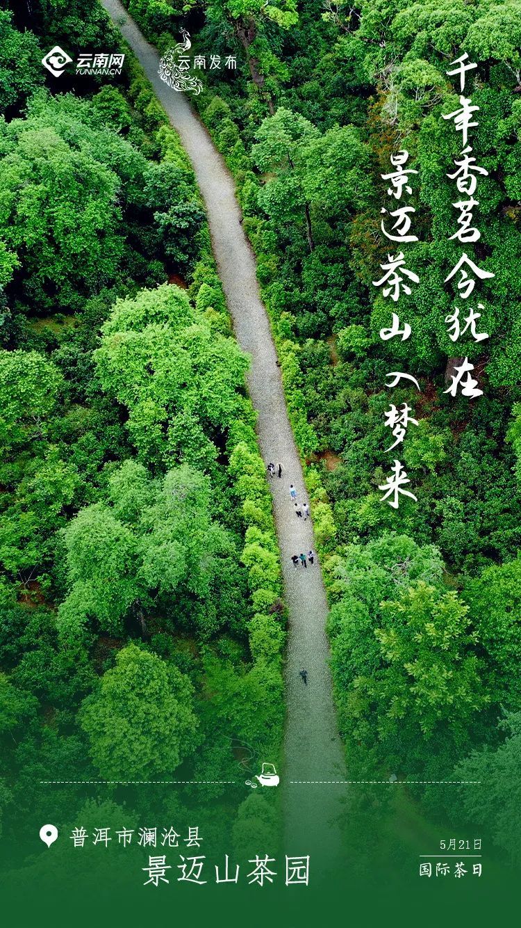 云南省文化和旅游厅