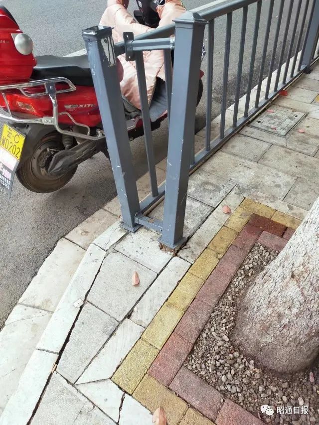 昭通日报